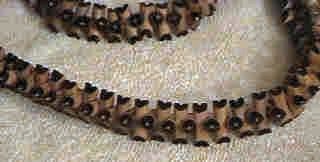 Ketting